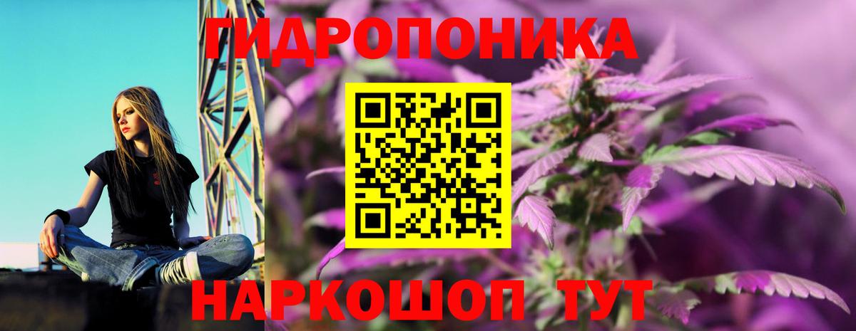 Кстово  Шишки марихуана MAZAR  Вход с VPN  Бошки Шишки план 